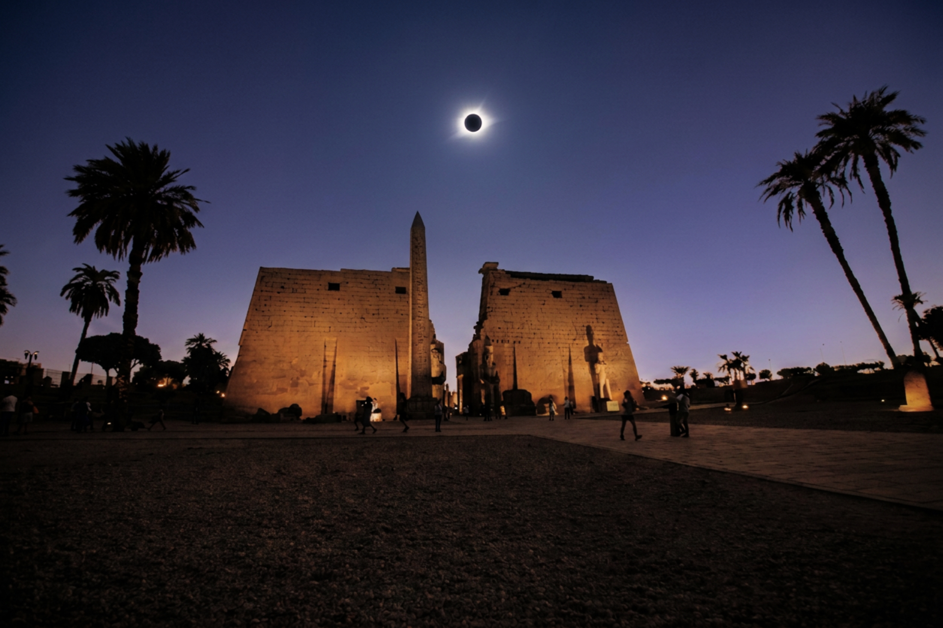 Total solar eclipse above Luxor Temple at dusk, framed by palm trees.